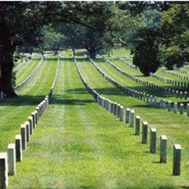 cover art for 葬礼蓝调-奥登