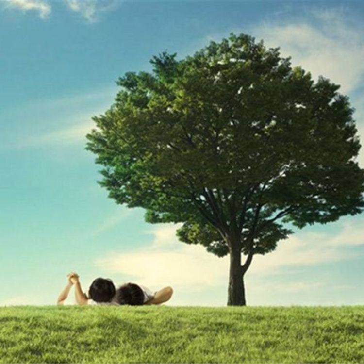 cover art for The Invitation 生活的邀请函