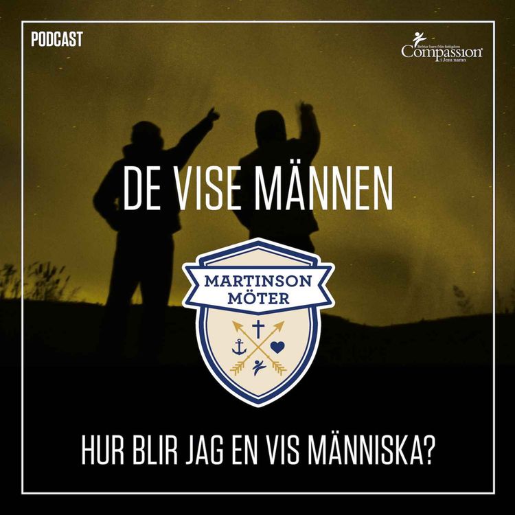 cover art for De vise männen - hur blir jag en vis människa?
