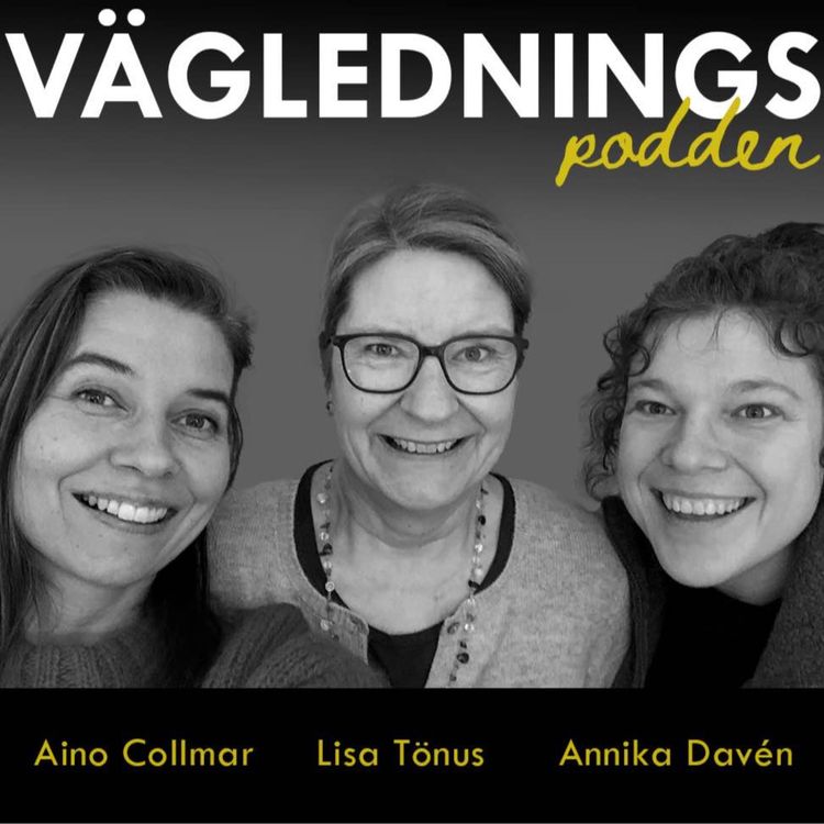 cover art for Avsnitt 15: Snabbkurs i karriärteori