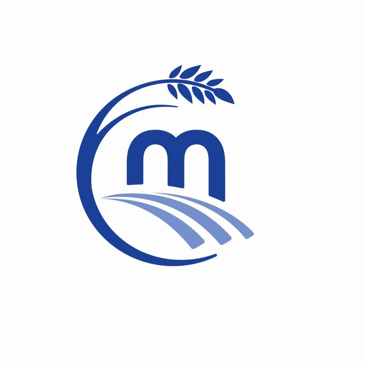 cover art for First Club Focus and Pre Budget Discussions