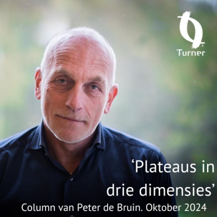 cover art for ‘Plateaus in drie dimensies’