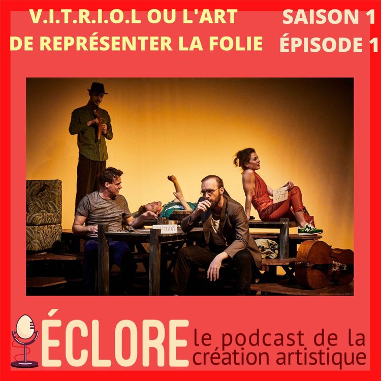 cover art for V.I.T.R.I.O.L ou l'art de représenter la folie