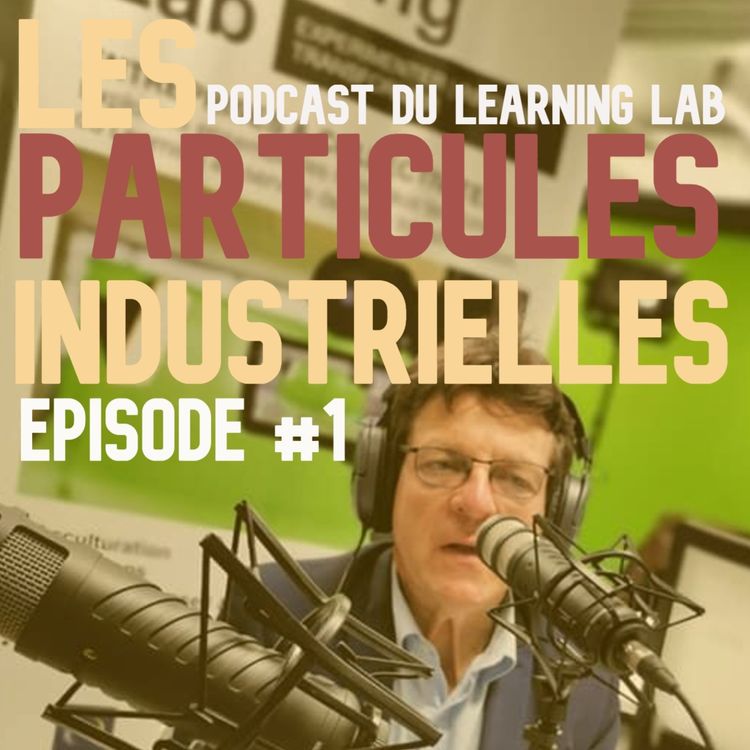 cover art for La maison imprimée en 3D