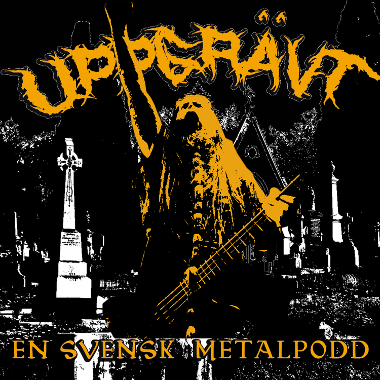 cover art for #12 Att spela i många band + Jonny Pettersson