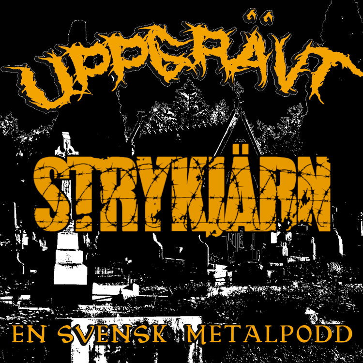 cover art for #8 Säfflepöjk möter Säfflepöjkar + Strykjärn