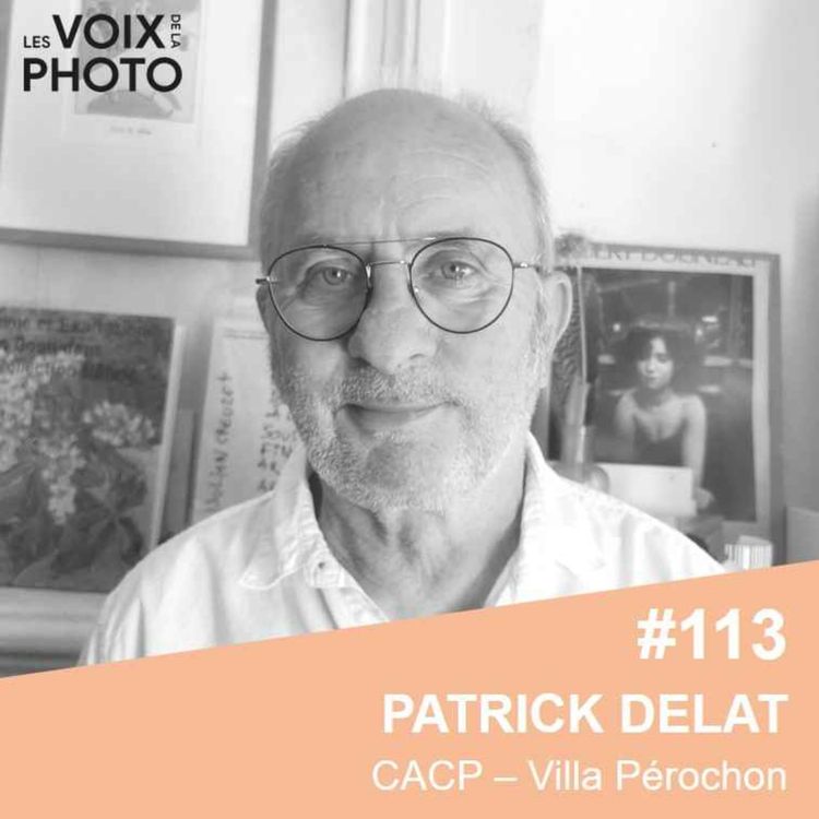 cover art for #113 Patrick Delat (Centre d'art contemporain photographique - Villa Pérochon)