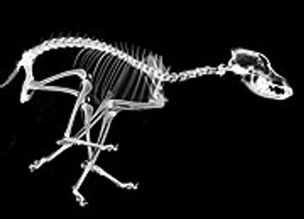 cover art for What Have You Got To Move