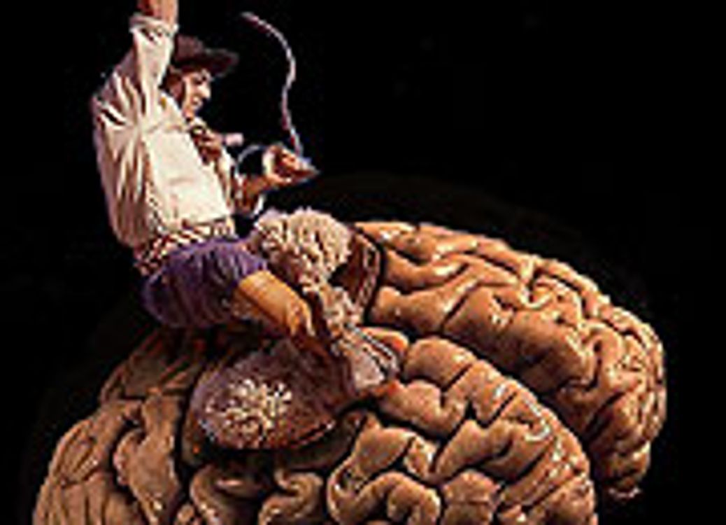 cover art for Your Brain's Reins [rebroadcast]