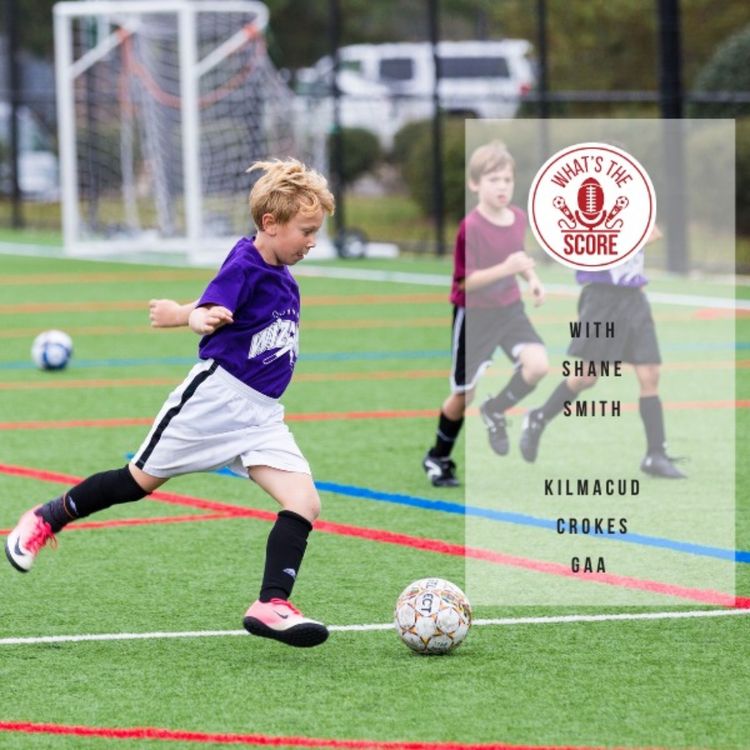 cover art for Chat with Shane Smith, underage and senior coach at Kilmacud Crokes