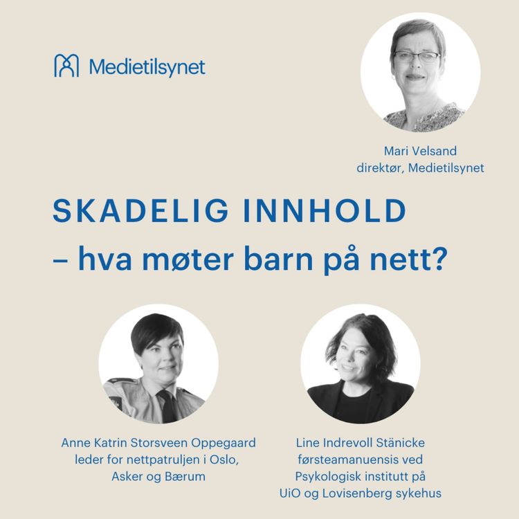 cover art for Skadelig innhold - hva møter barn på nett?