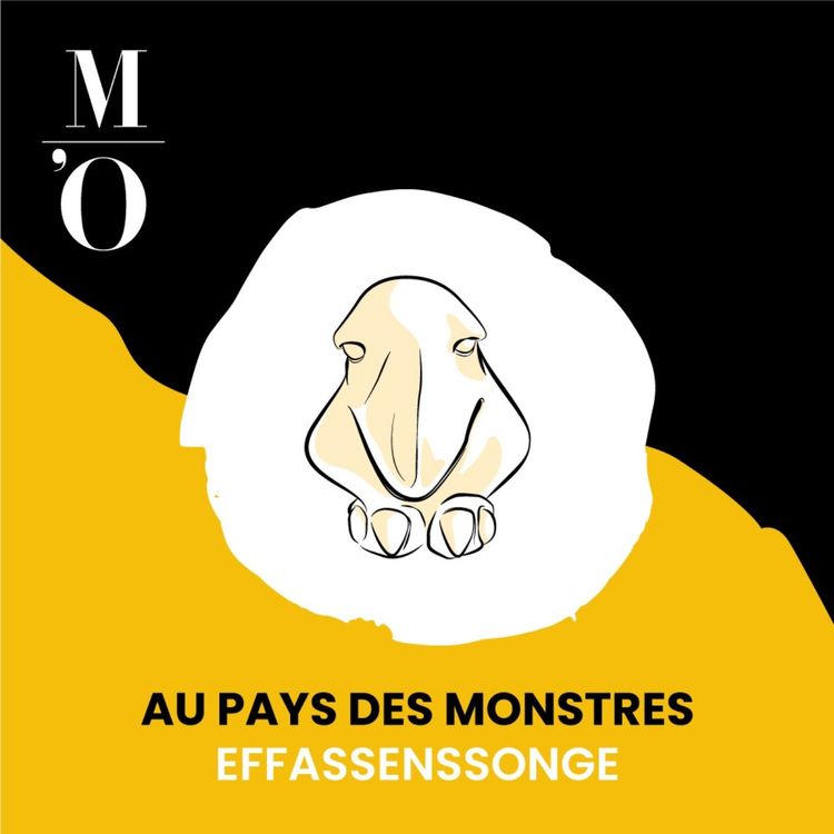 cover art for L'Effassensonge, l'éponge à tracas