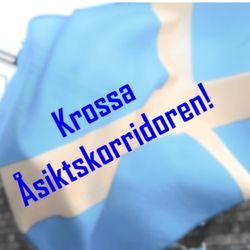 cover art for Krossa Åsiktskorridoren!