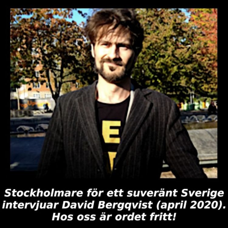 cover art for Intervju med David Bergqvist