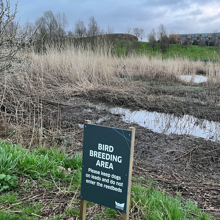 cover art for A springtime stroll in Stratford on Queen Elizabeth Olympic Park