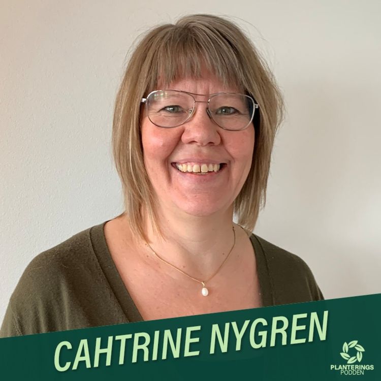 cover art for Cahtrine Nygren