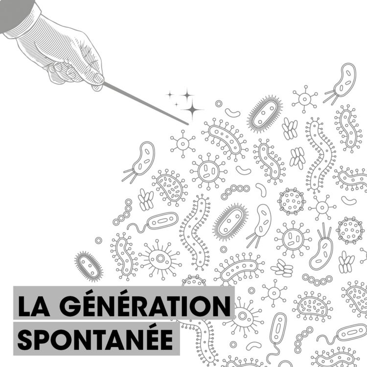 cover art for [RÉFUTATIONS] La génération spontanée