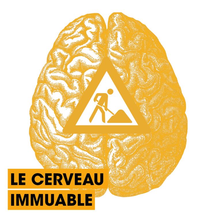 cover art for [RÉFUTATIONS] Le cerveau immuable