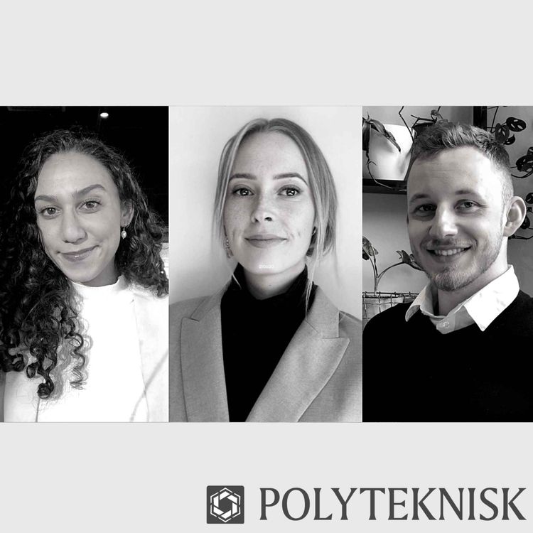 cover art for #Polypod - Elefanten i rommet: Unge entreprenører