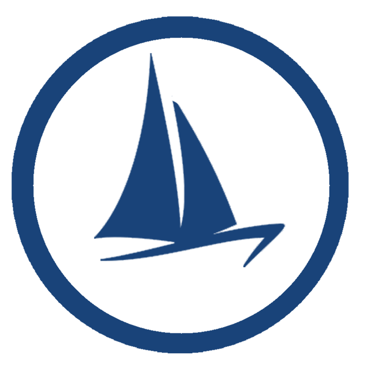 cover art for Comment est née la chaine ?