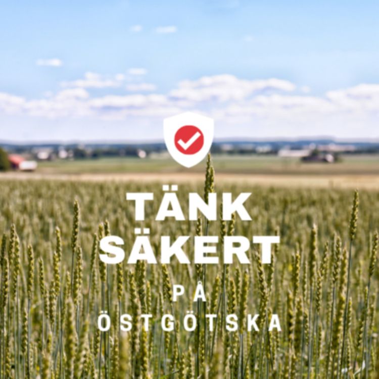 cover art for Tänk säkert på östgötska - platsdelning