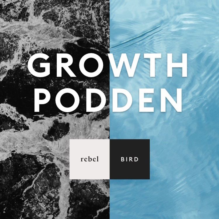 cover art for Varför det är viktigare att skapa förtroende än förståelse