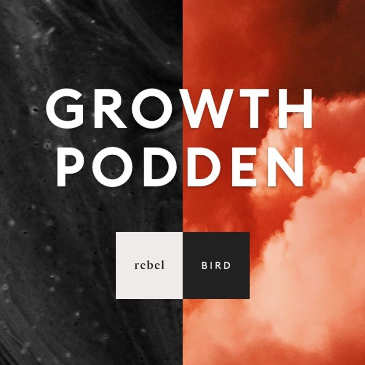 cover art for Vikten av att implementera experiment som är vinnare