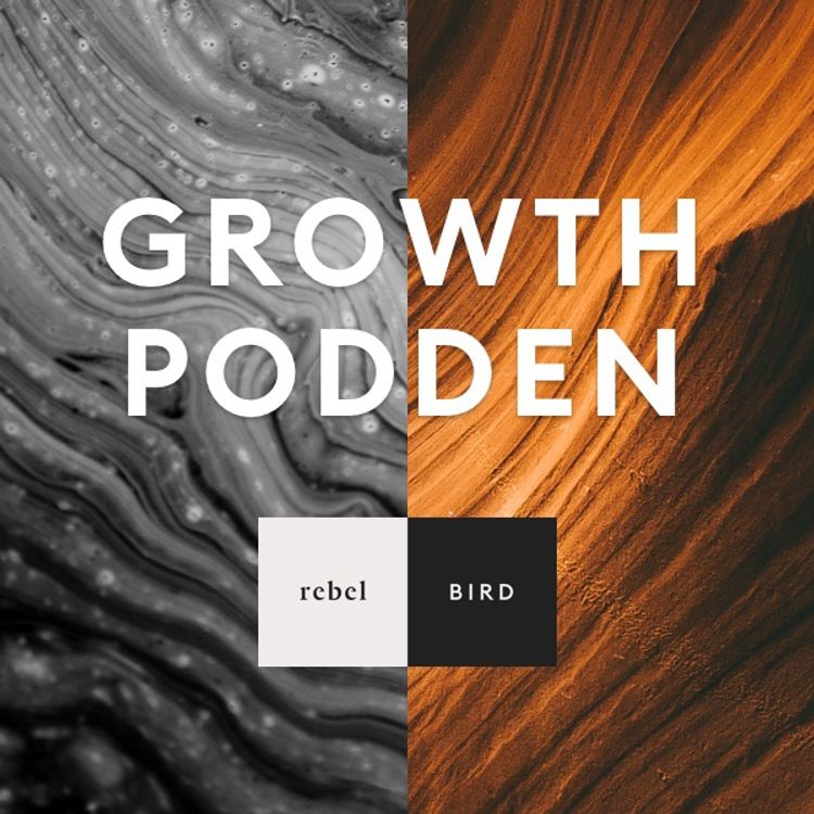 cover art for Nöjesparker kickar igång datadrivet arbetssätt