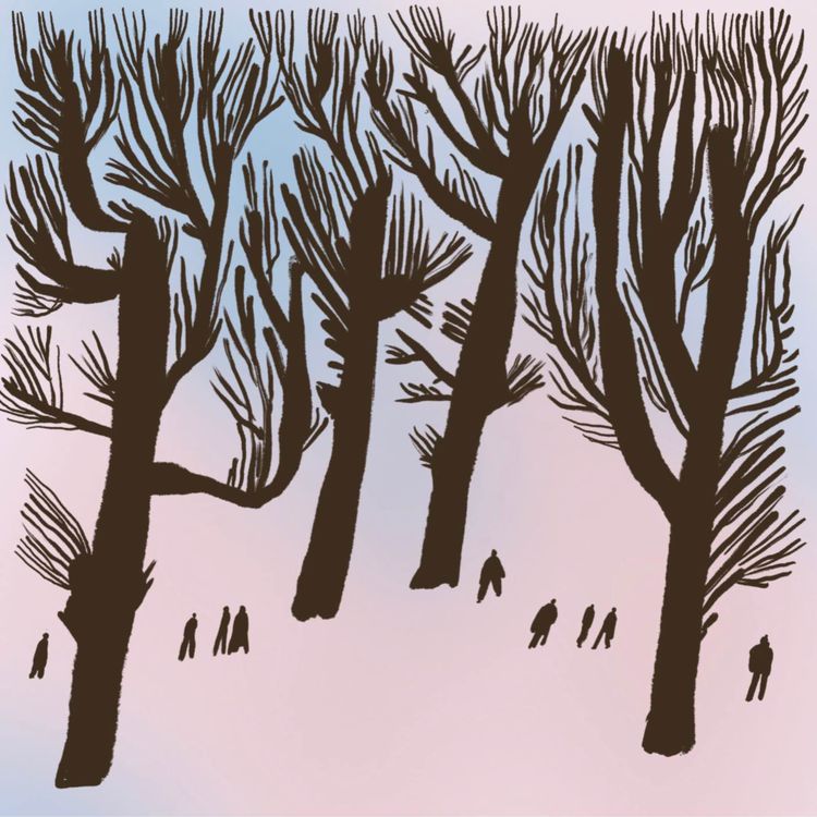 cover art for Puusta puuhun