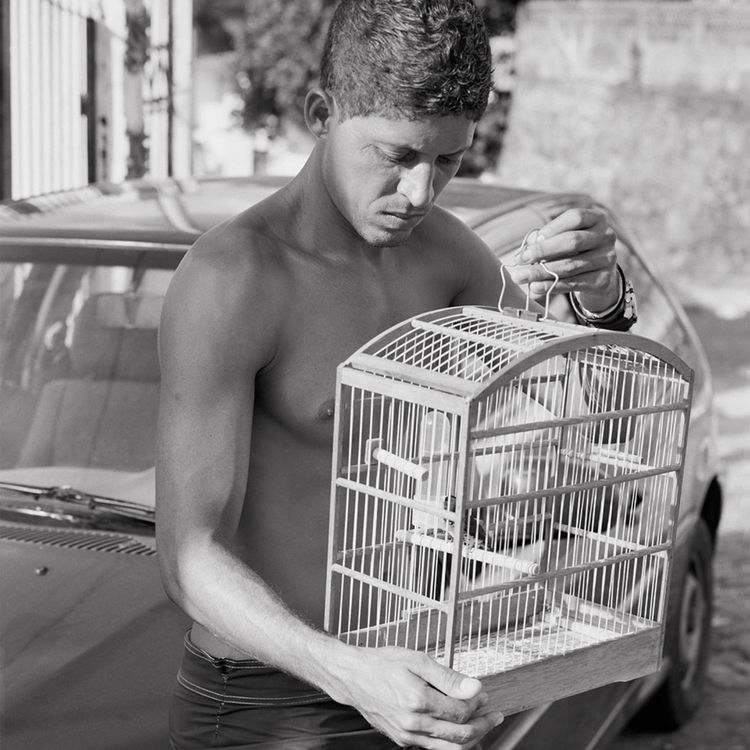 cover art for Karolina Karlic: Rubberlands