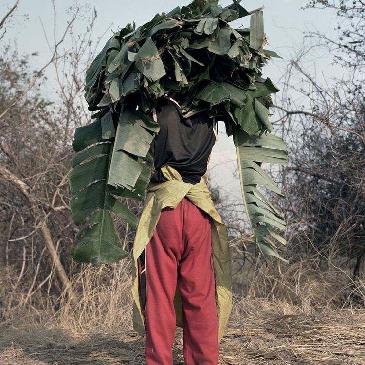 cover art for Jackie Nickerson: Terrain