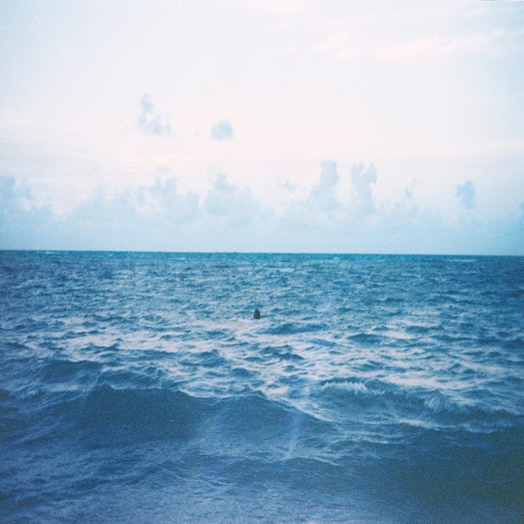 cover art for Sasha Phyars-Burgess: Everything Nice