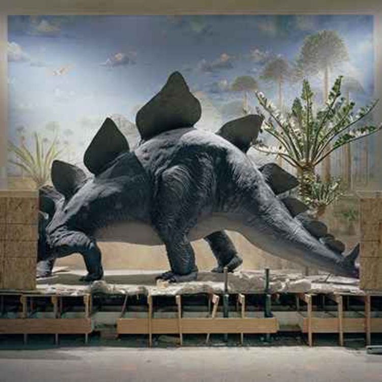 cover art for Sayler/Morris and Christina Seely: museum