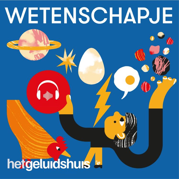 cover art for #3.5 - Als de sidderaal siddert, elektrocuteert hij dan zichzelf?