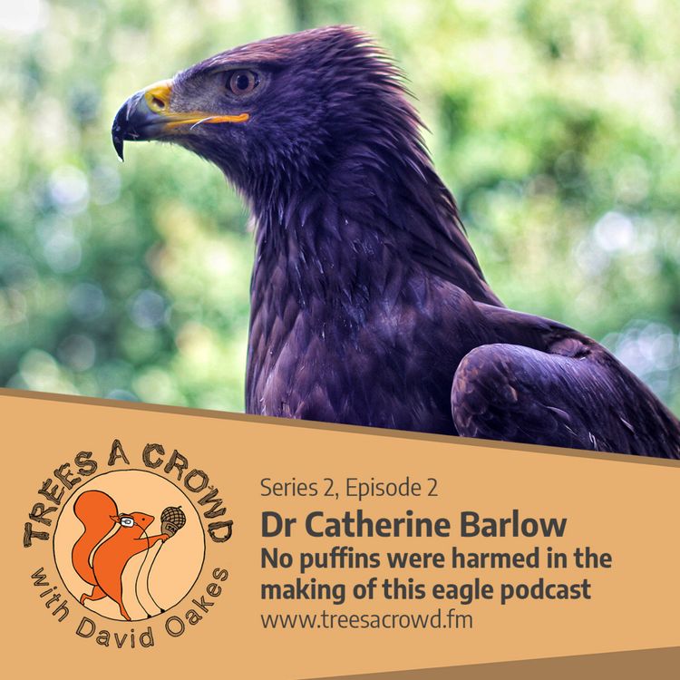 cover art for Dr Catherine Barlow: No puffins were harmed in the making of this golden eagle podcast