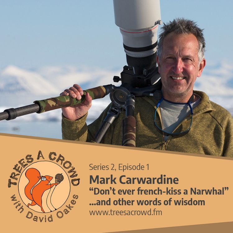 cover art for Mark Carwardine: "Don’t ever french-kiss a Narwhal”... and other words of wisdom