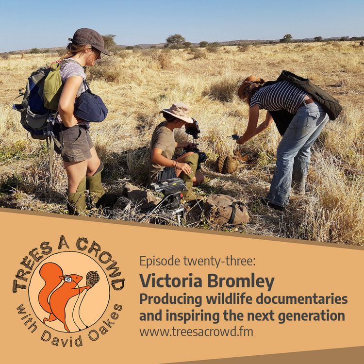 cover art for Victoria Bromley: Producing wildlife documentaries and inspiring the next generation