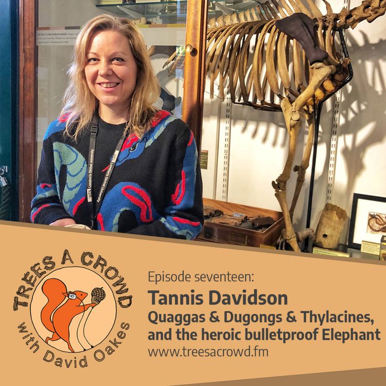 cover art for Tannis Davidson: Bulletproof elephants, 3D-printing a quagga and cloning thylacines