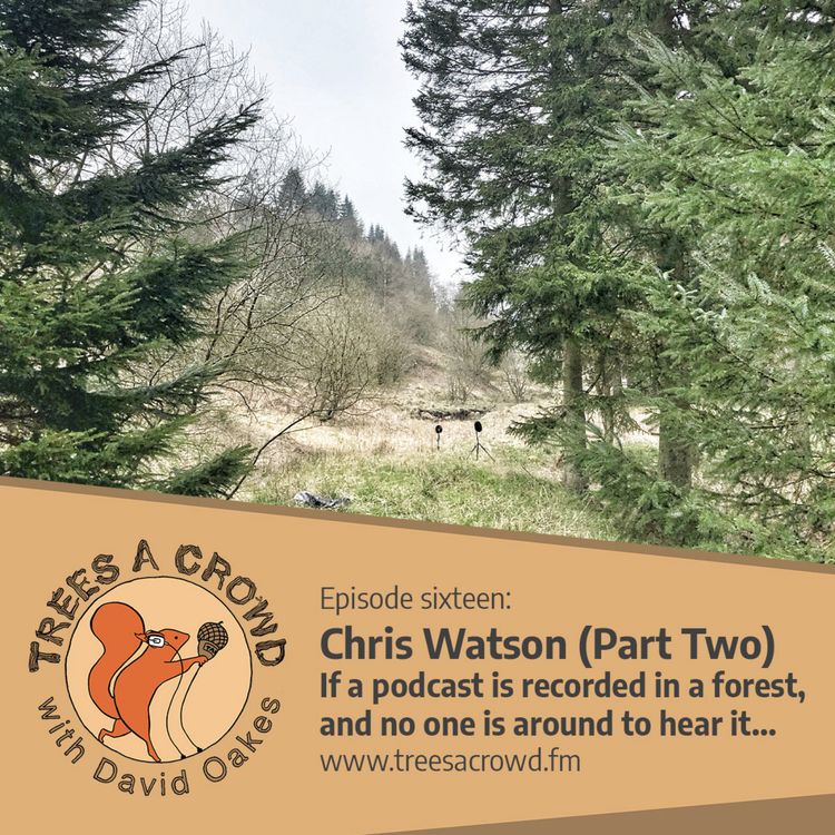 cover art for Chris Watson (Part Two): If a podcast is recorded in a forest, and no one is around to hear it…
