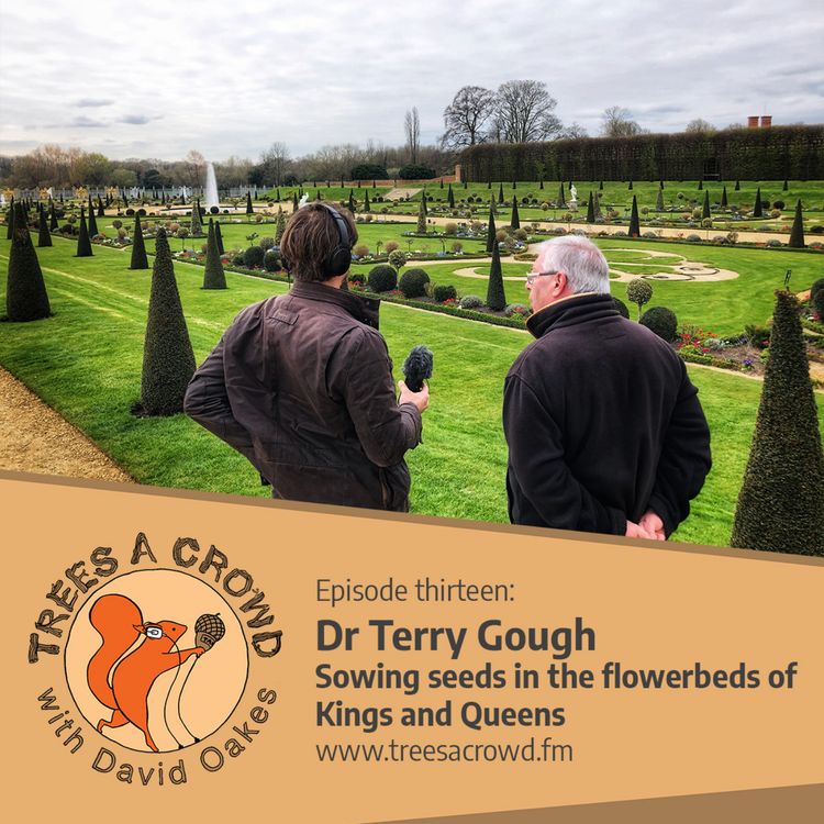 cover art for Dr Terry Gough: Sowing seeds in the flowerbeds of Kings and Queens