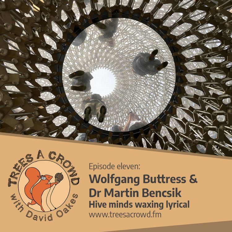 cover art for Wolfgang Buttress and Dr Martin Bencsik:  Hive minds waxing lyrical