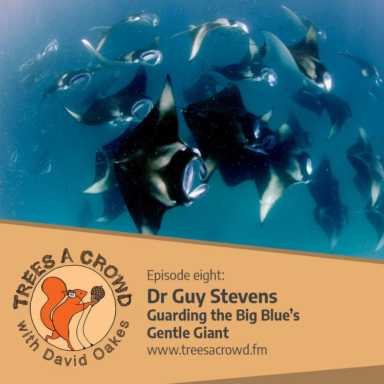 cover art for Dr Guy Stevens: Guarding the Big Blue’s Gentle Giant