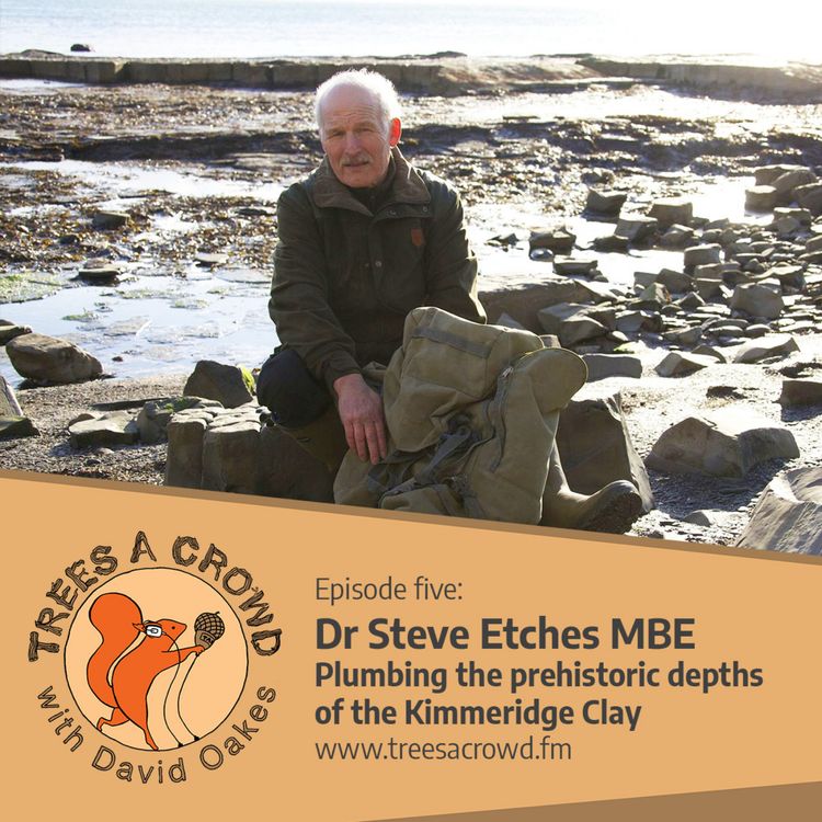 cover art for Dr Steve Etches MBE: Plumbing the prehistoric depths of the Kimmeridge Clay