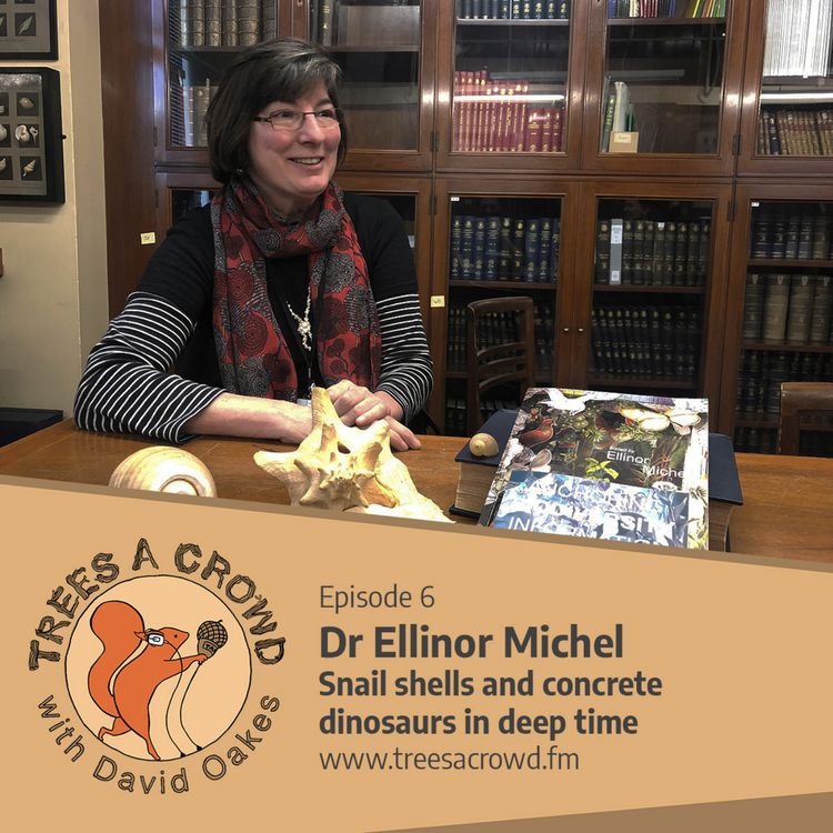 cover art for Dr Ellinor Michel: Snail shells and concrete dinosaurs in deep time
