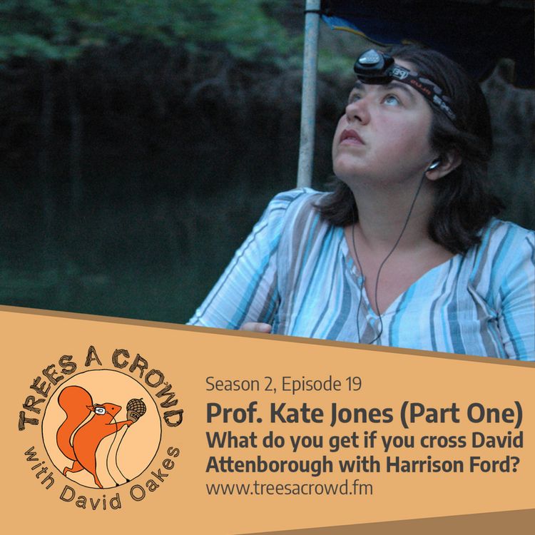 cover art for Prof. Kate Jones (Part One): What do you get if you cross David Attenborough with Harrison Ford?