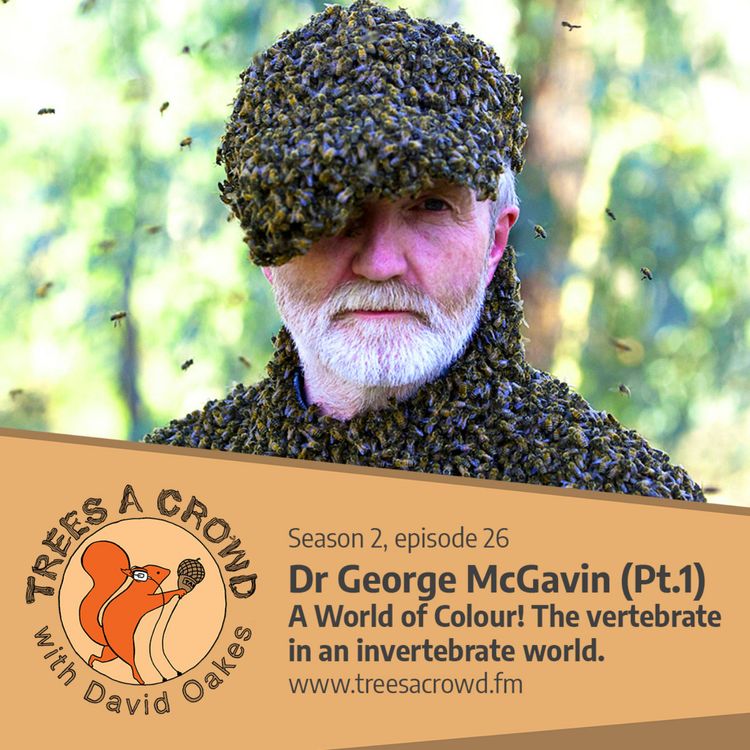 cover art for Dr George McGavin (Part One): A World of Colour! The vertebrate in an invertebrate world!