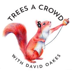 cover art for Trees A Crowd