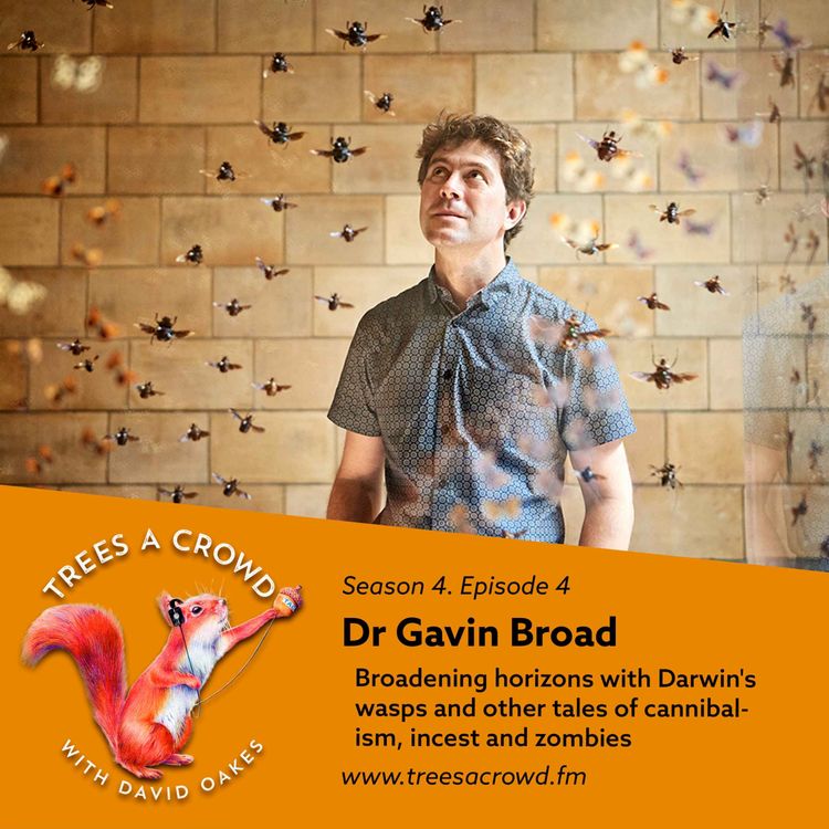 cover art for Dr Gavin Broad: Broadening horizons with Darwin's wasps and other tales of cannibalism, incest and zombies