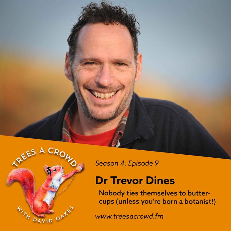 cover art for Dr Trevor Dines (Part One): Nobody ties themselves to buttercups (unless you’re born a botanist!)