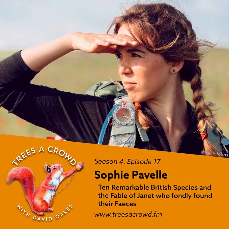 cover art for Sophie Pavelle: Ten Remarkable British Species and the Fable of Janet who fondly found their Faeces